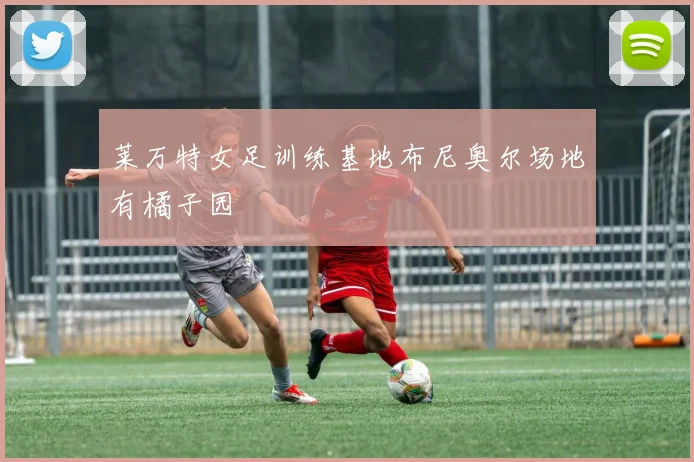 莱万特女足训练基地布尼奥尔场地有橘子园