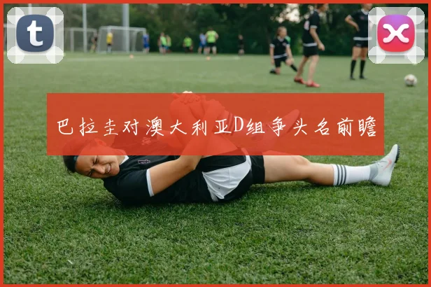 巴拉圭对澳大利亚D组争头名前瞻