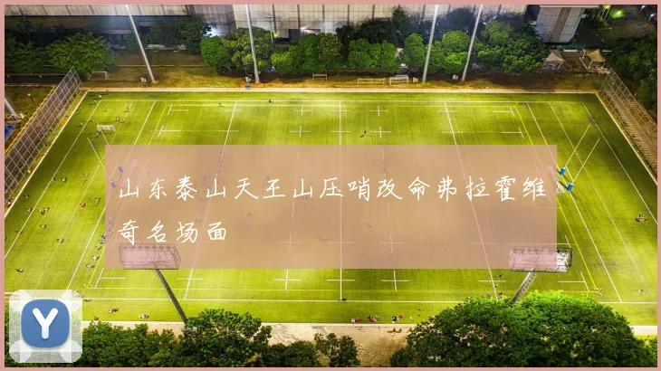山东泰山天王山压哨改命弗拉霍维奇名场面