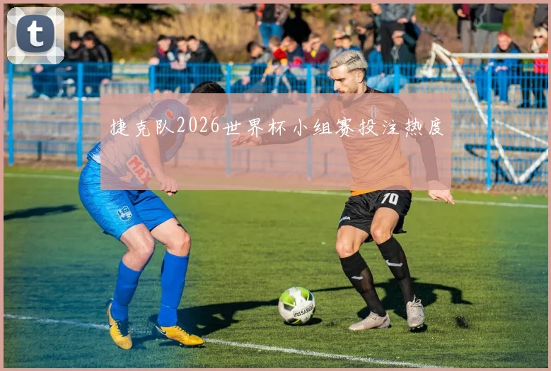 捷克队2026世界杯小组赛投注热度