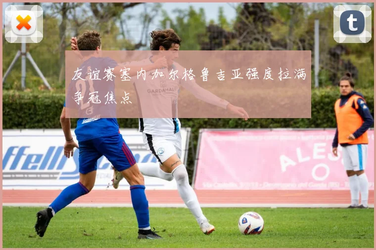 友谊赛塞内加尔格鲁吉亚强度拉满争冠焦点