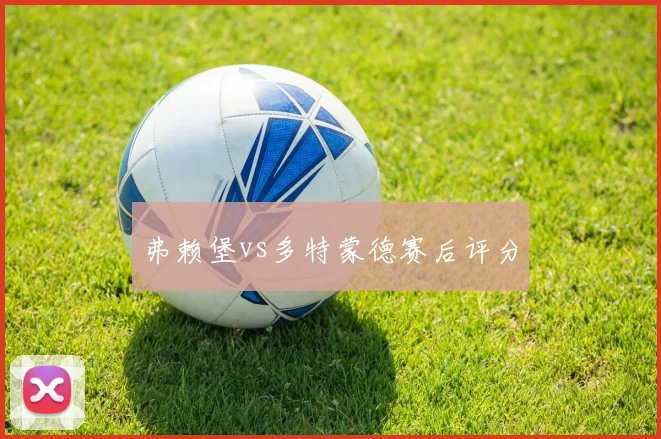 弗赖堡vs多特蒙德赛后评分